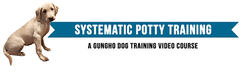 Systematic Potty Training For Puppies