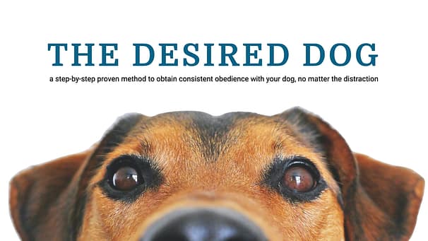 the desired dog video course